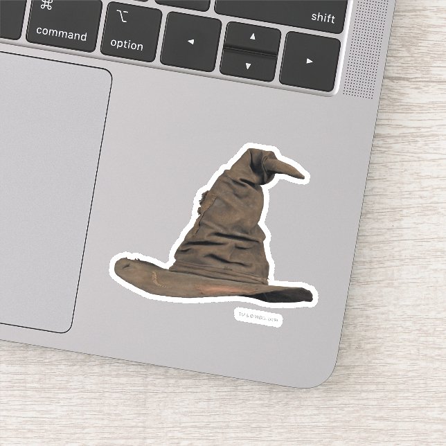 Harry Potter Spell | Sorting Hat (Detail)