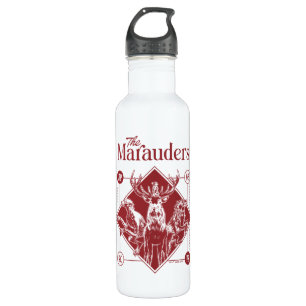 HARRY POTTER™ The Marauders Animagus Graphic 710 Ml Water Bottle