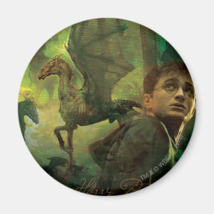 Harry Potter Thestrals Magnet
