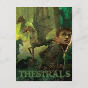 Harry Potter Thestrals Postcard