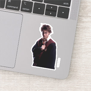 Harry Potter Wand Raised