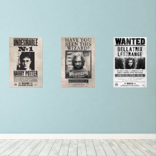 HARRY POTTER™ Wanted