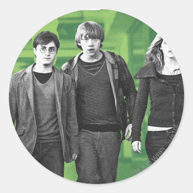 Harry, Ron, and Hermione 1 Classic Round Sticker (Front)