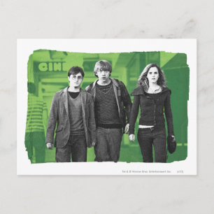 Harry, Ron, and Hermione 1 Postcard