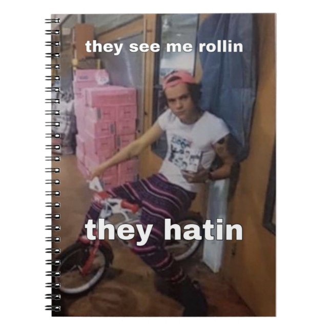 Harry Styles meme notebook (Front)