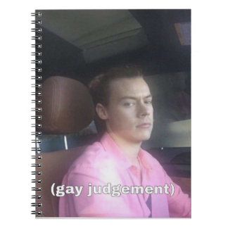 Harry Styles meme notebook