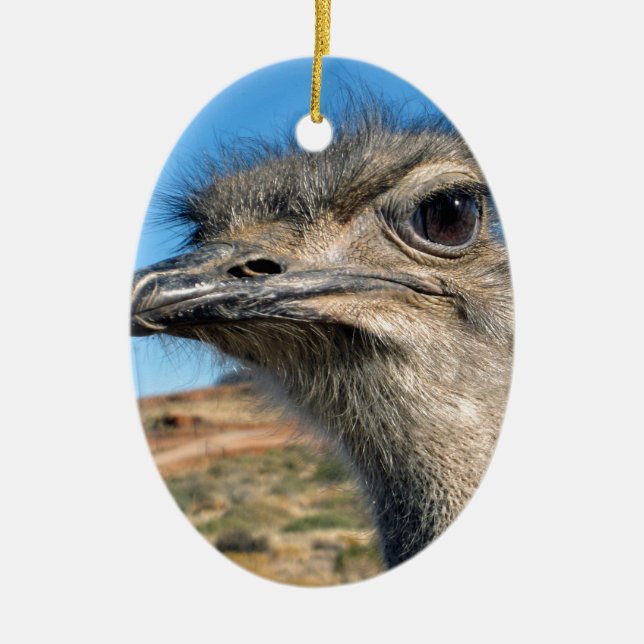 Harry the Happy Ostrich Ceramic Tree Decoration (Front)