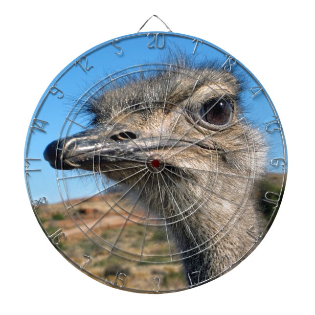 Harry the Happy Ostrich Dartboard (Front)