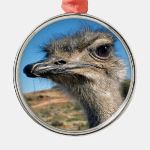 Harry the Happy Ostrich Metal Tree Decoration