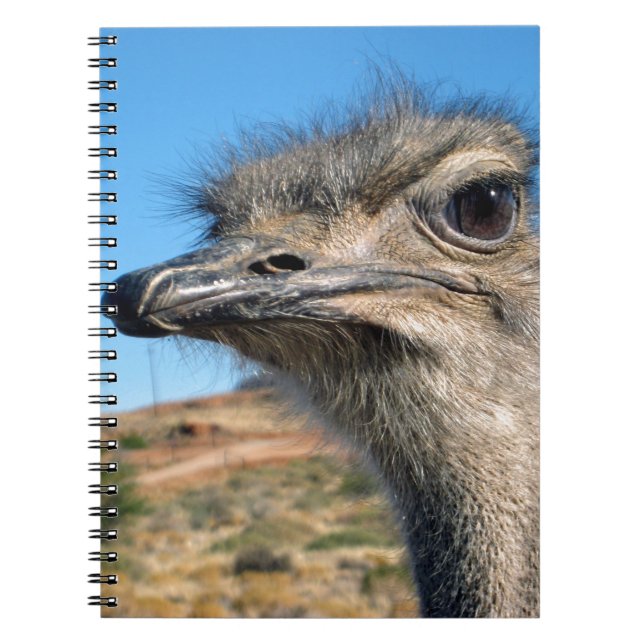 Harry the Happy Ostrich Notebook (Front)