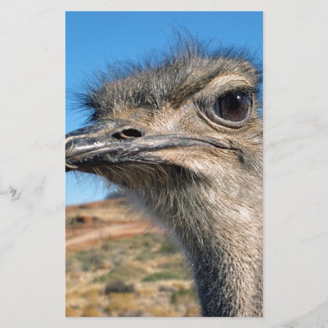 Harry the Happy Ostrich Stationery (Front)