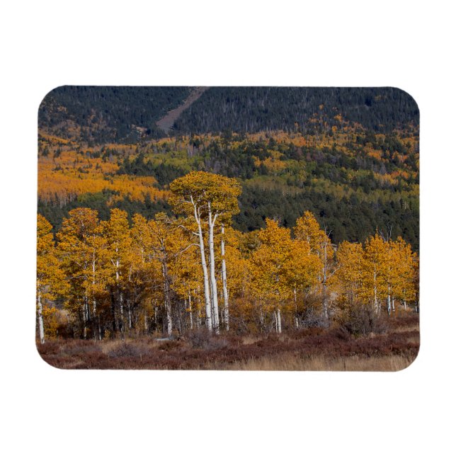 Hart Prairie Magnet (Horizontal)