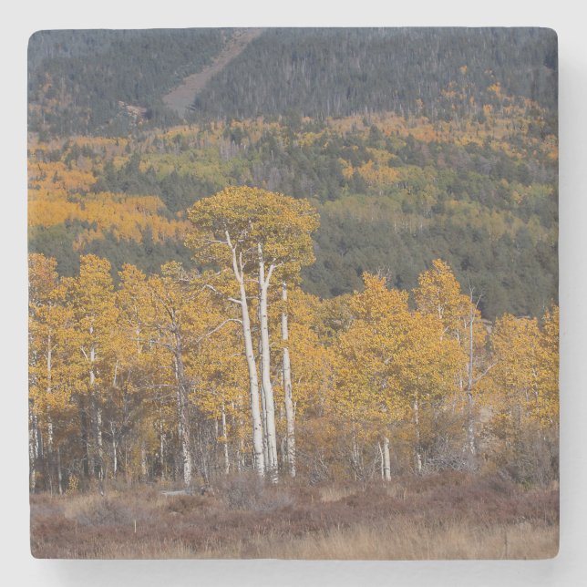 Hart  Prairie Stone Coaster (Front)