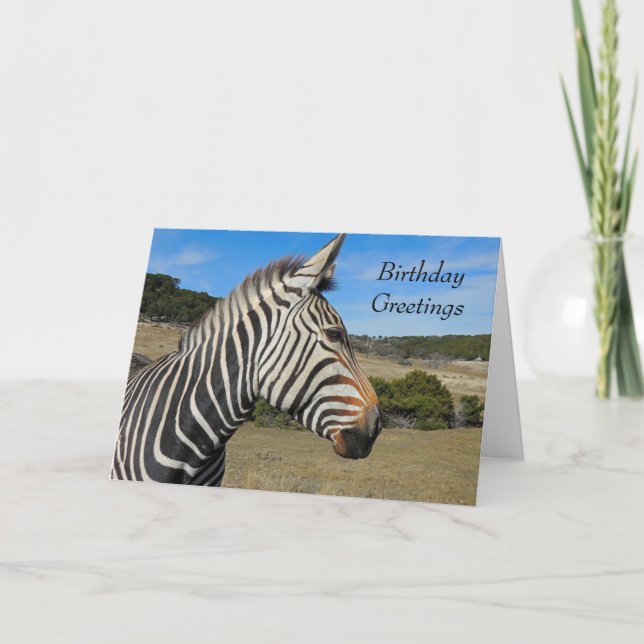 Hartmann's Zebra Portrait Birthday Card (Front)