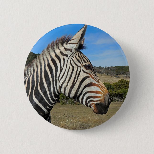 Hartmann's Zebra Profile at Fossil Rim 6 Cm Round Badge (Front)