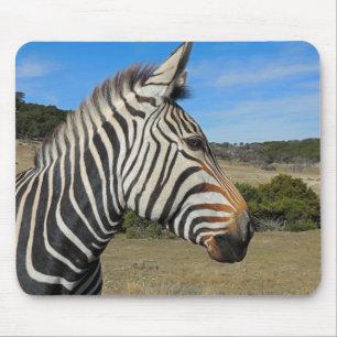 Hartmann's Zebra Profile at Fossil Rim Mouse Pad