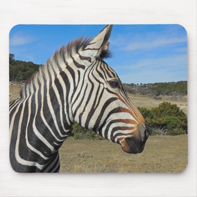 Hartmann's Zebra Profile at Fossil Rim Mouse Pad (Front)