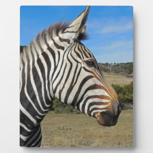 Hartmann's Zebra Profile at Fossil Rim Plaque