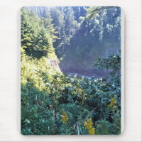Hart's Cove, Oregon Coast