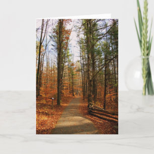 Hartwick Pines State Park in Fall Card