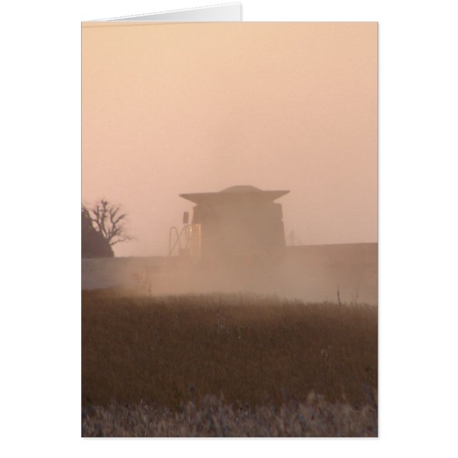 Harvest at Sunset (Front)