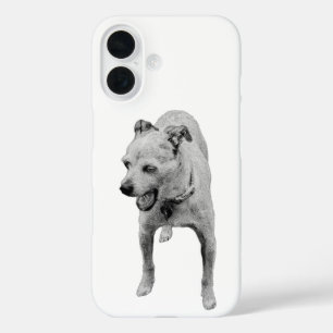 Harvest Calm with Sleepy Charm iPhone 16 Case