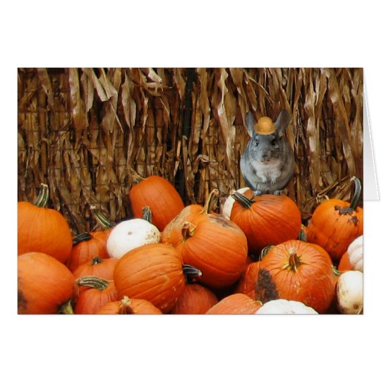 Harvest Chinchilla Card