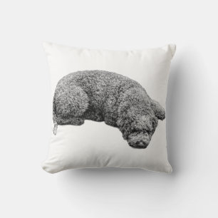 Harvest Evening Calm Cushion