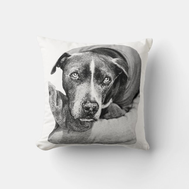 Harvest Evening Companion Cushion (Front)