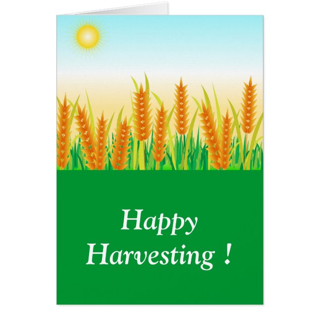 Harvest festival (Front)