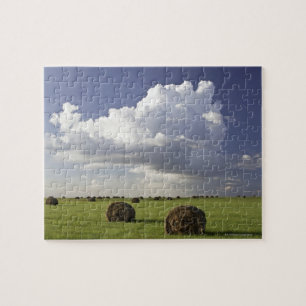 Harvest fields with storm clouds, Heidelberg Jigsaw Puzzle