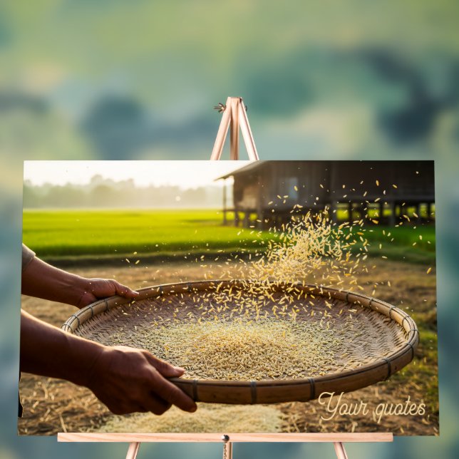 Harvest Grain, Rice Field Acrylic Sign (Neutral)