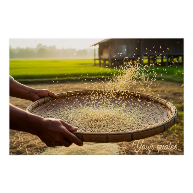 Harvest Grain, Rice Field Poster (Front)