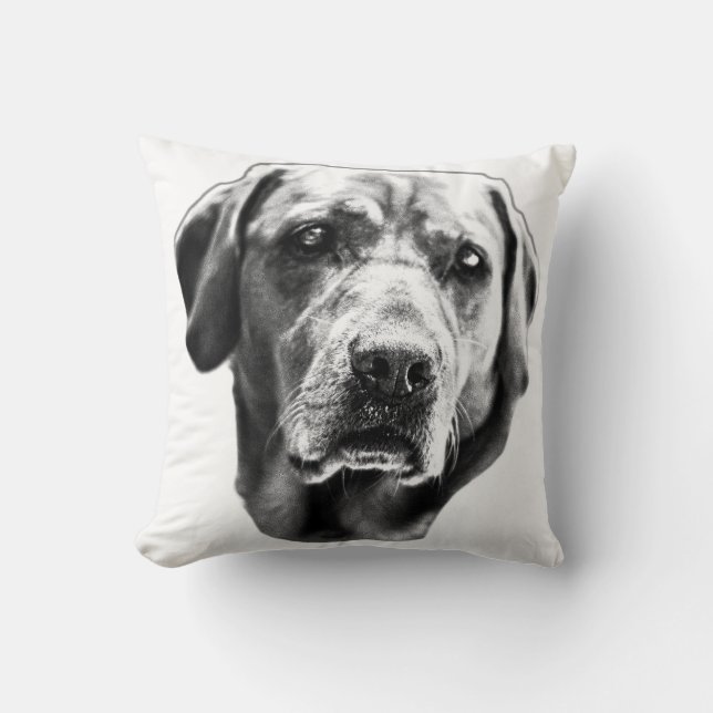 Harvest Hearth Gaze Cushion (Front)