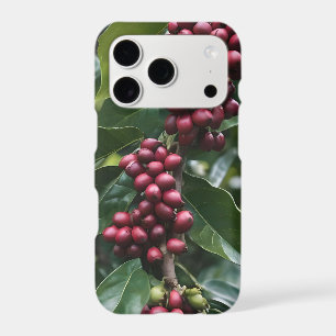 **"Harvest in Bloom: Coffee Beans on the Tree"**