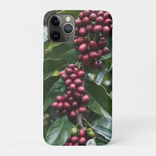 **"Harvest in Bloom: Coffee Beans on the Tree"** iPhone 11 Pro Case