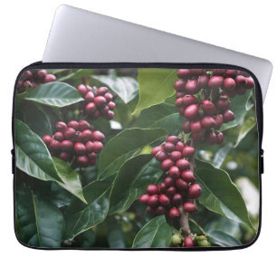 **"Harvest in Bloom: Coffee Beans on the Tree"** Laptop Sleeve