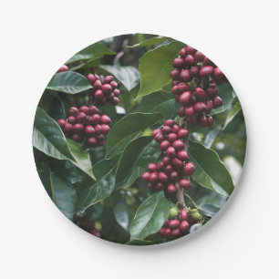 **"Harvest in Bloom: Coffee Beans on the Tree"** Paper Plate