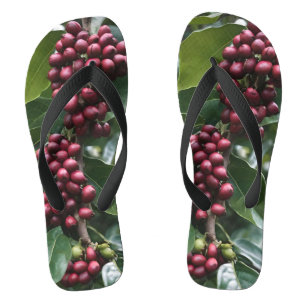 **"Harvest in Bloom: Coffee Beans on the Tree"** Thongs