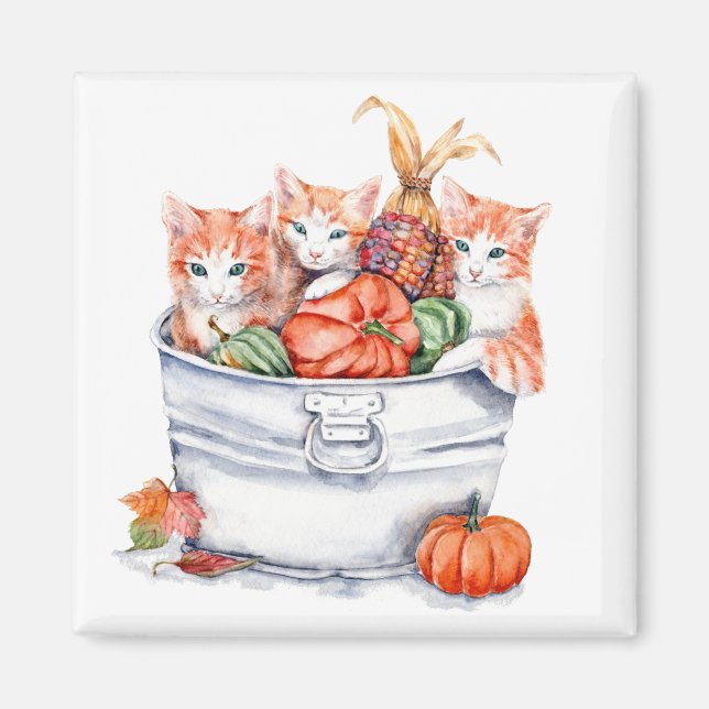 Harvest Kittens Magnet (Front)
