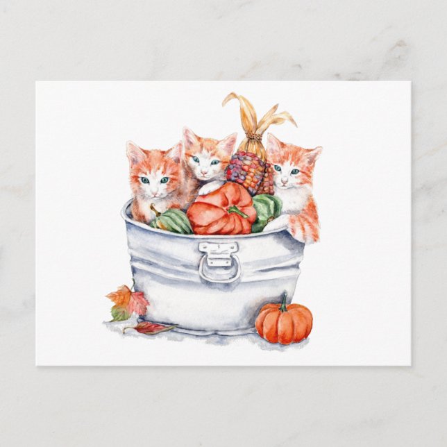 Harvest Kittens Postcard (Front)
