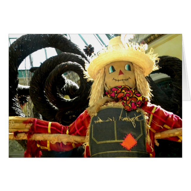Harvest Man (Front Horizontal)