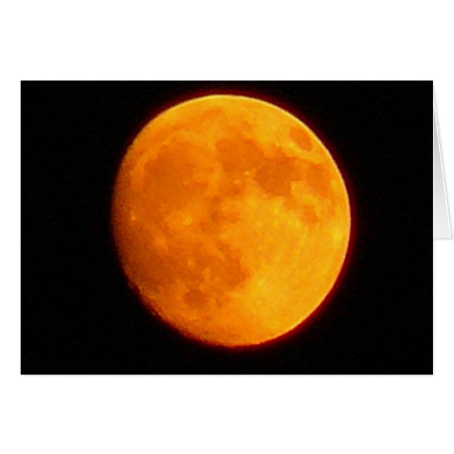 Harvest Moon (Front Horizontal)