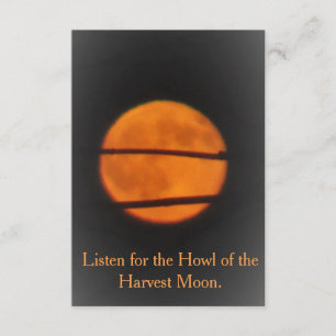 Harvest Moon - Prairie Mile - invitation