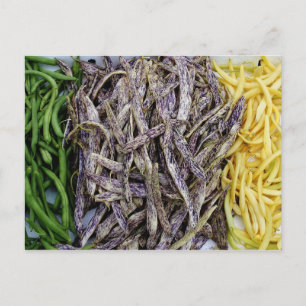 Harvest Of Beans Vegetable Postcard