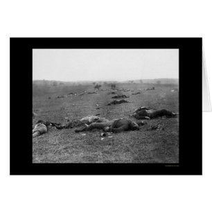 Harvest of Death at Gettysburg, PA 1863