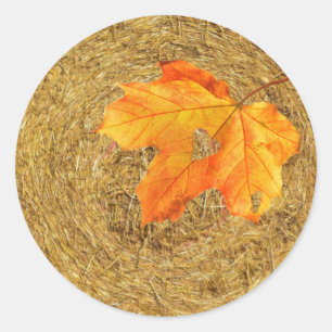 Harvest of Love Classic Round Sticker