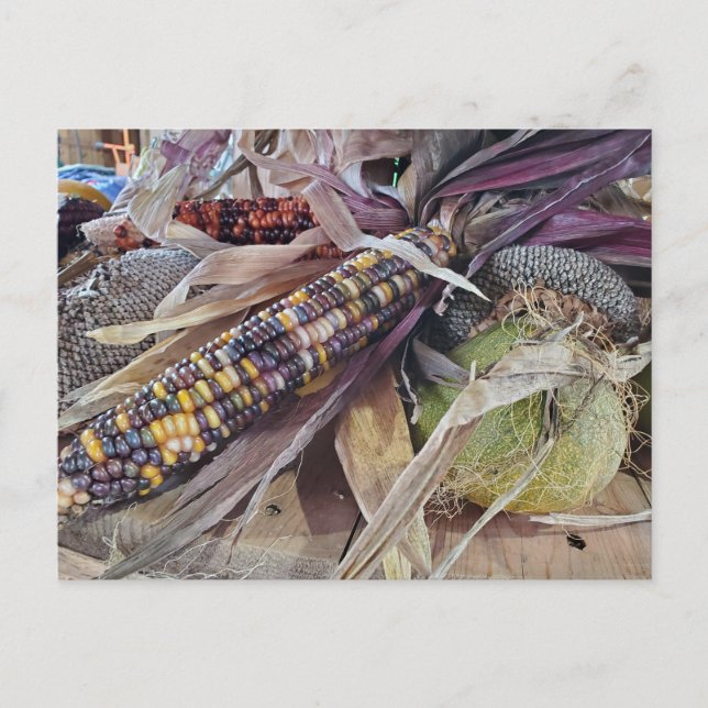 Harvest Postcard (Front)