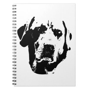 Harvest Reflections Notebook