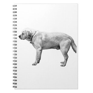 Harvest Reflections Notebook